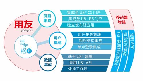 金印聯攜手葡萄城 低代碼技術驅動萬物集成，引領計算機系統服務創新
